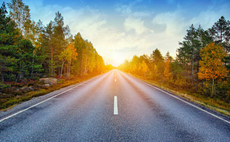 A road leading towards the horizon with a sunrise in the background, flanked by trees with autumn foliage.