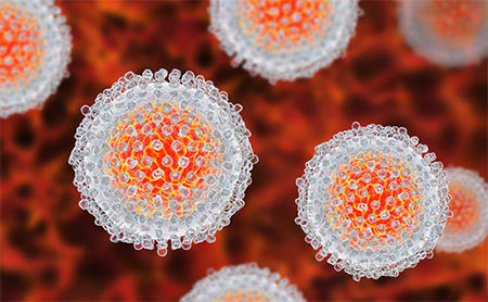 Virions of a virus rendered in orange